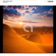 BOB HOWARD - True North (Original Mix)