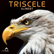 Triscele - EXT-IN (Original Mix)