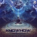Knowhow - Mind Control (Original Mix)