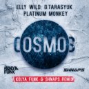 Elly Wild, D.Tarasyuk & Platinum Monkey - Cosmos (Kolya Funk & Shnaps Remix)