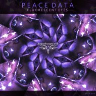 Peace Data - Paper Happiness II (Original mix)