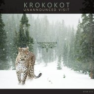 Krokokot - UFO Monitoring (Original mix)