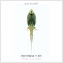 Protoculture - Pale Blue Dot (Extended Mix)