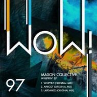 Mason Collective - Whippin\' (Original Mix)