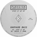 Harvard Bass - Step It Up (Original Mix)