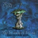 Tom Vrai - The Beauty of Decay (Original Mix)