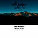 Dima Mardmian - Limitless stress (Original Mix)