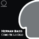 Hernan Bass - Nada Me Sale Bien (Original Mix)