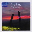 Calm - Shade of Tree (Original Mix)