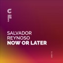 Salvador Reynoso - Sometis (Original Mix)
