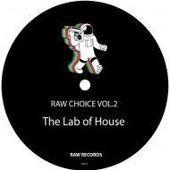 The Lab Of House - Right Direction (Original Mix)