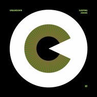 Urbandawn - Roundabout (Original Mix)