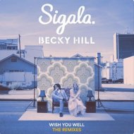 Sigala & Becky Hill - Wish You Well (Benny Benassi Remix)