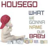 Housego - What We Gonna Name Our Baby (Original Mix)