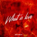 Haddaway - What Is Love (Jake Waltz 2K19)