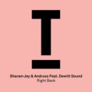 Sharam Jey & Andruss feat. Dewitt Sound - Right Back (Extended Mix)