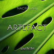 Nacim Ladj - Artefact (Original Mix)