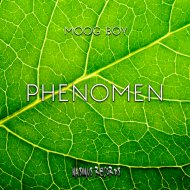 Moog Boy - Phenomen (Original Mix)