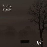 Naad - The Space Ape (Original Mix)
