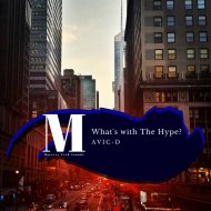 Avic-D - What\'s With The Hype? (Original Mix)