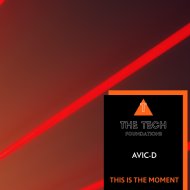 Avic-D - This Is The Moment (Original Mix)
