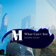 Aliana Giles - What Can\'t See (Original Mix)