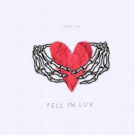 Grape Jape - Fell in luv (Original Mix)