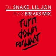 DJ Snake x Lil Jon - Turn Down For What (FM-3 Breaks Mix)