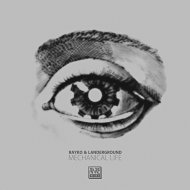 Rayko & Landerground - Mechanical Life (Original mix)