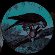 Karma Kid - Bird Of Prey (Original Mix)