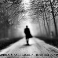 AnimoEx & AngelaSheik - Home Before Dark (Original mix)