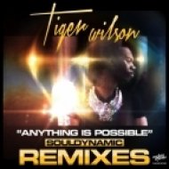 Tiger Wilson - Anything Is Possible (Souldynamic Remix)