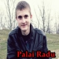 Palai Radu - DanceMania (Promotional Mix October 2014)