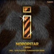 Nopopstar - I Wish (Sean Garnier Remix)