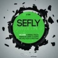 Sefly - Strange Life (Danny Lo Scippo Remix)