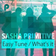 Sasha Primitive - What\'s It (Original Mix)