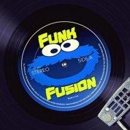Funk Hunk - For Those Who Like to Groove (Original Mix)