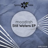 mood:ish - Small Things (Original Mix)