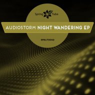 AudioStorm - Night Wandering (Original Mix)