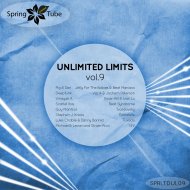 Ewan Rill - Using the Chance (Tuxedo Remix) (Original Mix)