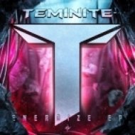 Teminite feat. Jonah Hitchens - Come Together Now (Original Mix)