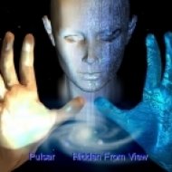 Pulsar - Hidden From View (Original mix)