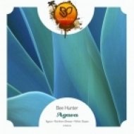 Bee Hunter - Northern Breeze (Original Mix)