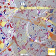 Enviado Vida - Woodland (Original Mix)