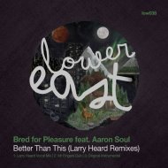 Bred For Pleasure - Better Than This (Instrumental)