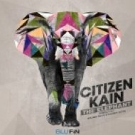 Citizen Kain - The Elephant (Original mix)