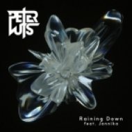 Peter Luts - Raining Down (Extended Mix)