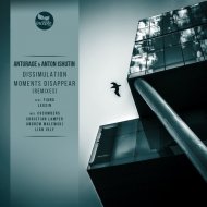 Anturage & Anton Ishutin feat.Tiana - Moments Disappear (Andrew Malewski Remix)