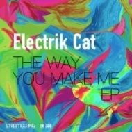 Electrik Cat - The Way You Make Me (Original Mix)