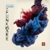 Funkware - Musique Liquide (Original Mix)